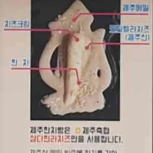 제주한치빵 우도 땅콩아이스크림 리뷰 사진