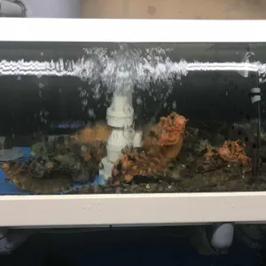마차회집 리뷰 사진