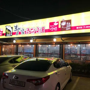 황금코다리  리뷰 사진