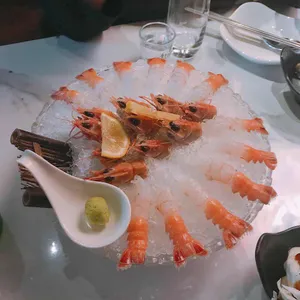 아카 사진