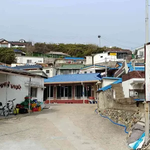 바우횟집 리뷰 사진