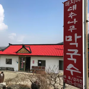 대추나무막국수 리뷰 사진