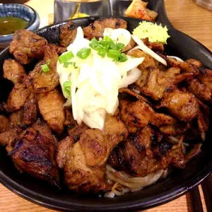 홍대개미 사진