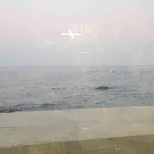 방파제회센터 리뷰 사진