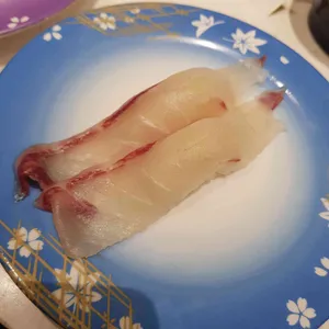 본가스시 사진