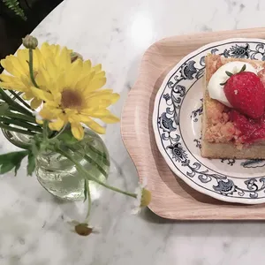 하우애니 사진