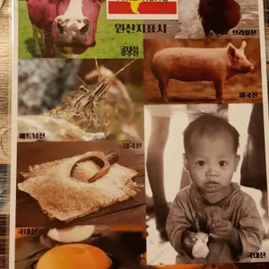 어반나이프 리뷰 사진