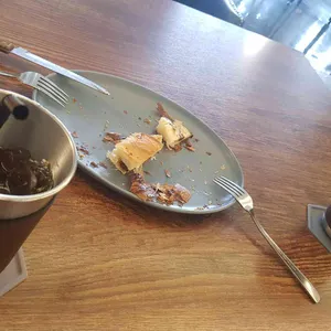 아디스브라운 사진
