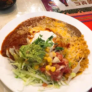 로이스타코 리뷰 사진