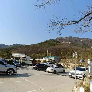 마호가니 리뷰 사진