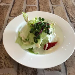 포포나무 리뷰 사진