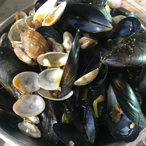 고각 리뷰 사진