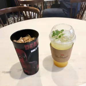 폴바셋 사진