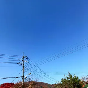 청기와곤드레밥 리뷰 사진