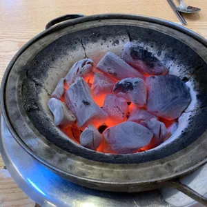 부산갈매기 사진
