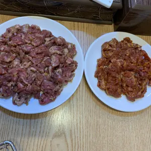 부산갈매기 사진