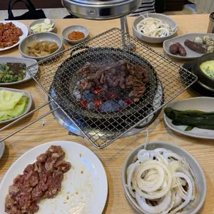 부산갈매기 사진