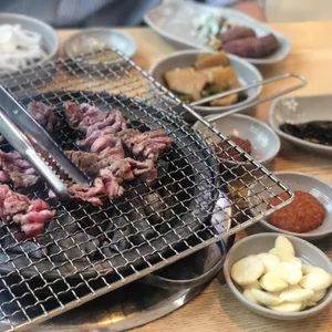 부산갈매기 사진