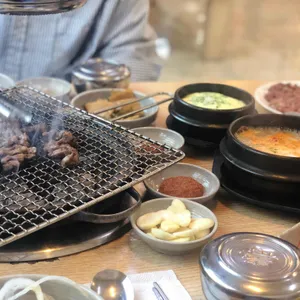 부산갈매기 사진