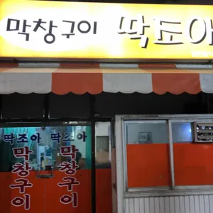 딱조아 리뷰 사진