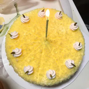 한스 사진