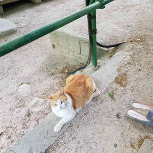 약수집 리뷰 사진