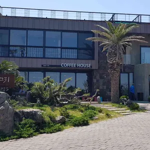 게우지코지 카페 리뷰 사진