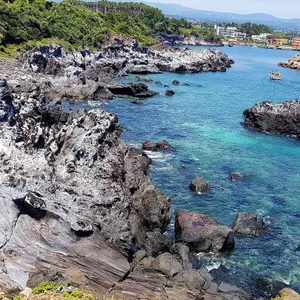 게우지코지 카페 리뷰 사진