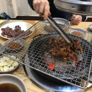 부산갈매기 사진
