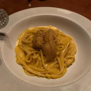 티톨로 사진