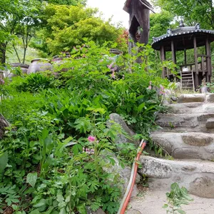 둔내민속촌 리뷰 사진