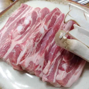 느티나무 사진