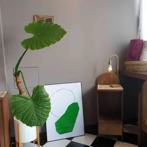 녹음 리뷰 사진