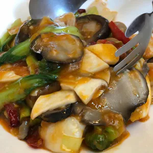 란이 (Lanyi) 사진
