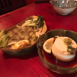 진화로 리뷰 사진