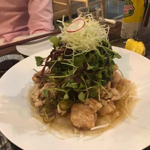모요 사진