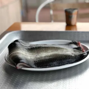 황토장어 사진