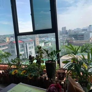 케냐 리뷰 사진