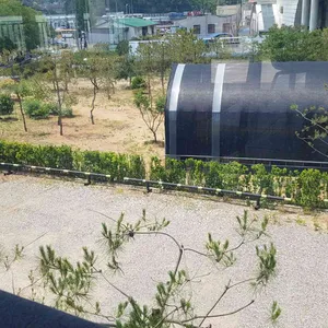 라떼떼라 리뷰 사진