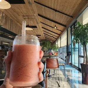 플라이오조 사진