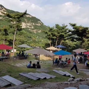 더 피아노 리뷰 사진