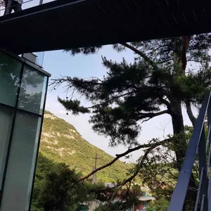 더 피아노 리뷰 사진