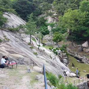 더 피아노 리뷰 사진