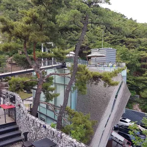 더 피아노 리뷰 사진