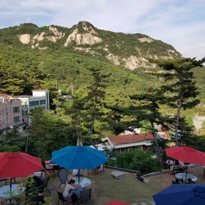 더 피아노 리뷰 사진