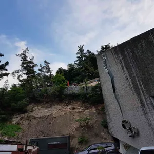 더 피아노 리뷰 사진