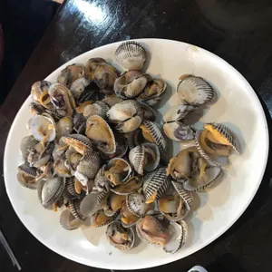 바다삼치 사진