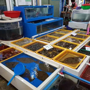 모항벧엘수산 리뷰 사진