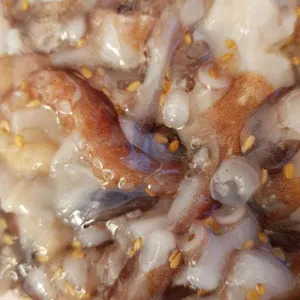모항벧엘수산 사진