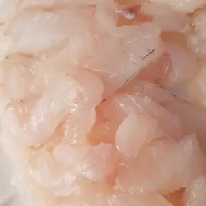 모항벧엘수산 사진